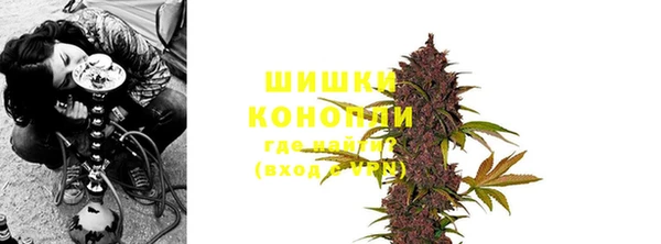PSILOCYBIN Балабаново