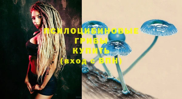 PSILOCYBIN Балабаново