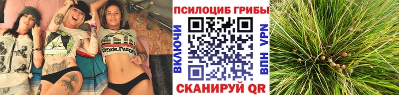 Галлюциногенные грибы MAGIC MUSHROOMS  Армавир 